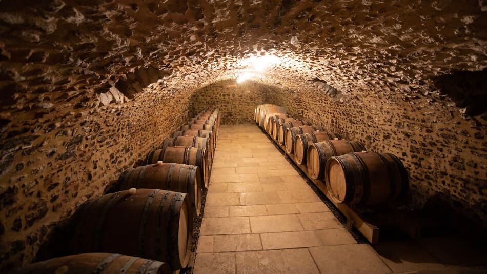Cave traditionnelle du Domaine Guillerault-Fargette à Sancerre, avec des fûts de chêne utilisés pour l’élevage des vins.
