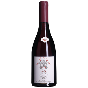 Bouteille de Beaujolais Pataphysique rouge – Domaine Jules Desjourneys