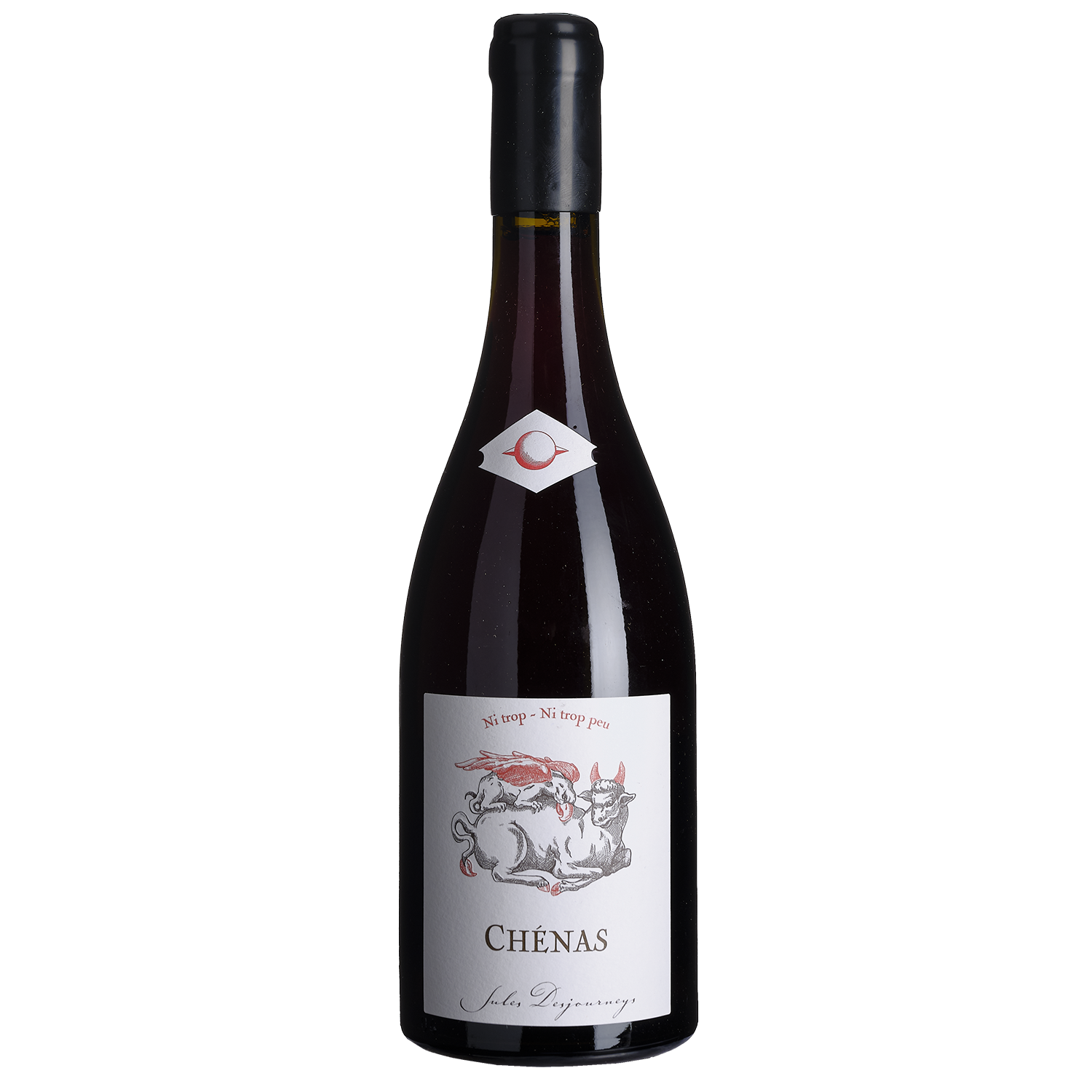 Bouteille de Chénas “Ni trop – Ni trop peu” – Domaine Jules Desjourneys